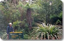 Lake Hauroko Trailhead