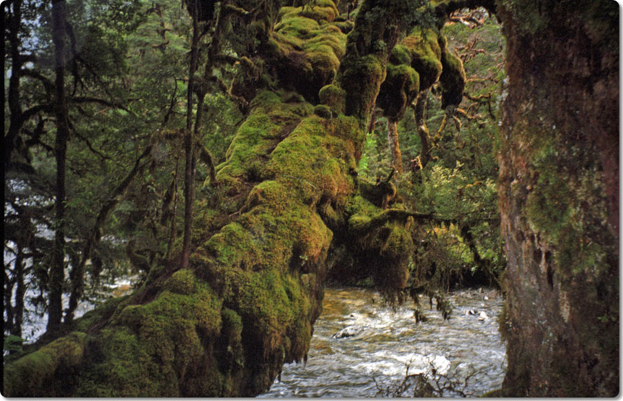 Along The Spey River