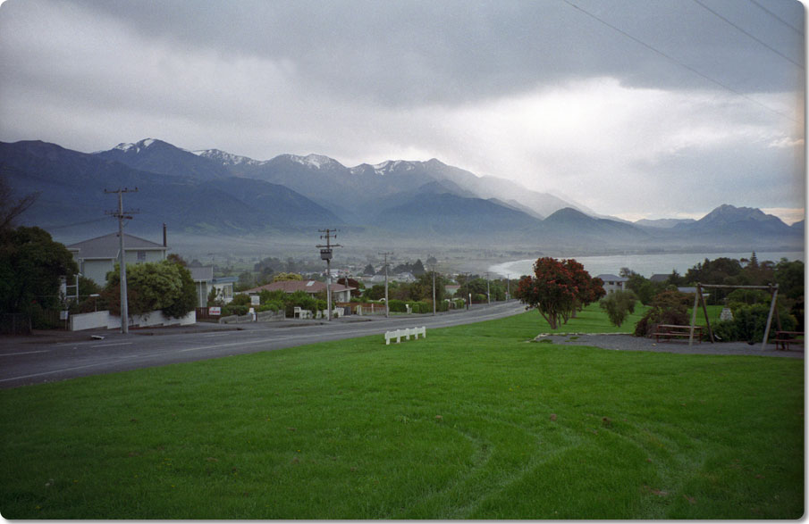 On The Kaikoura Peninsula 