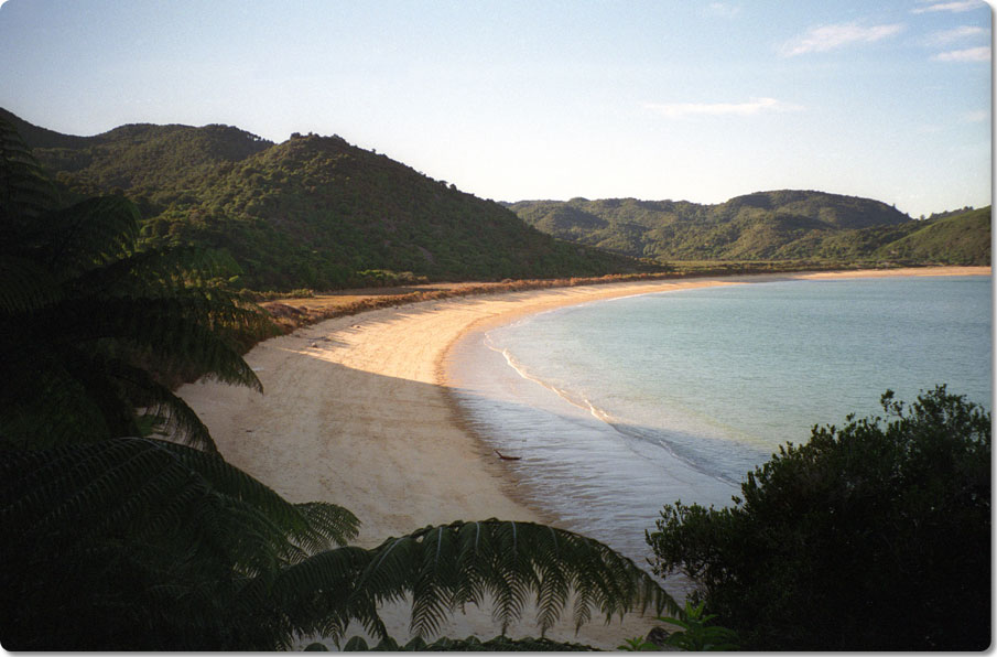 Abel Tasman Coastal Track 