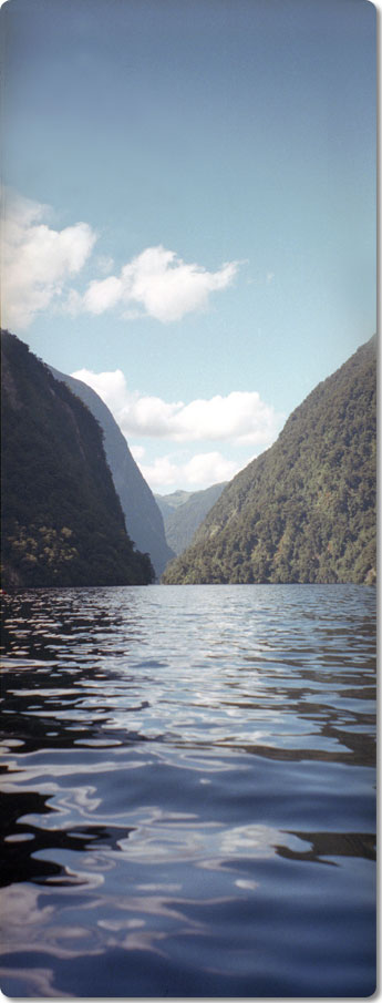 Doubtful Sound 