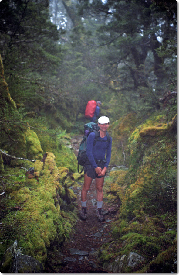 Fiordland Rainforest