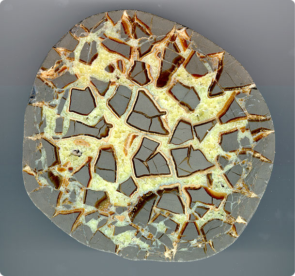 Septarian nodules