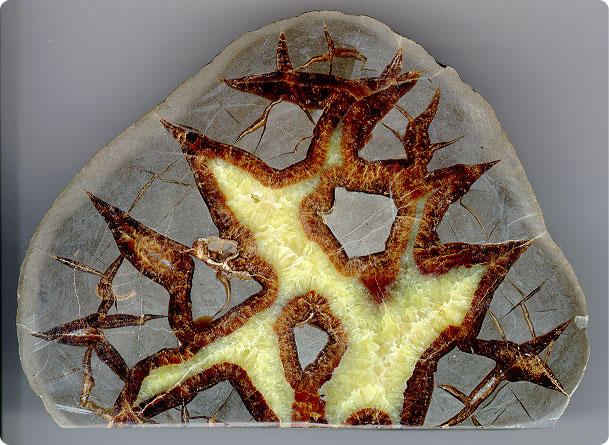 Septarian nodules