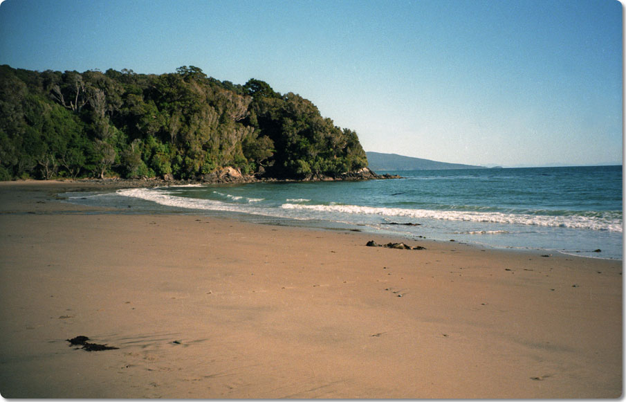 The Coastline of Stewart Island 