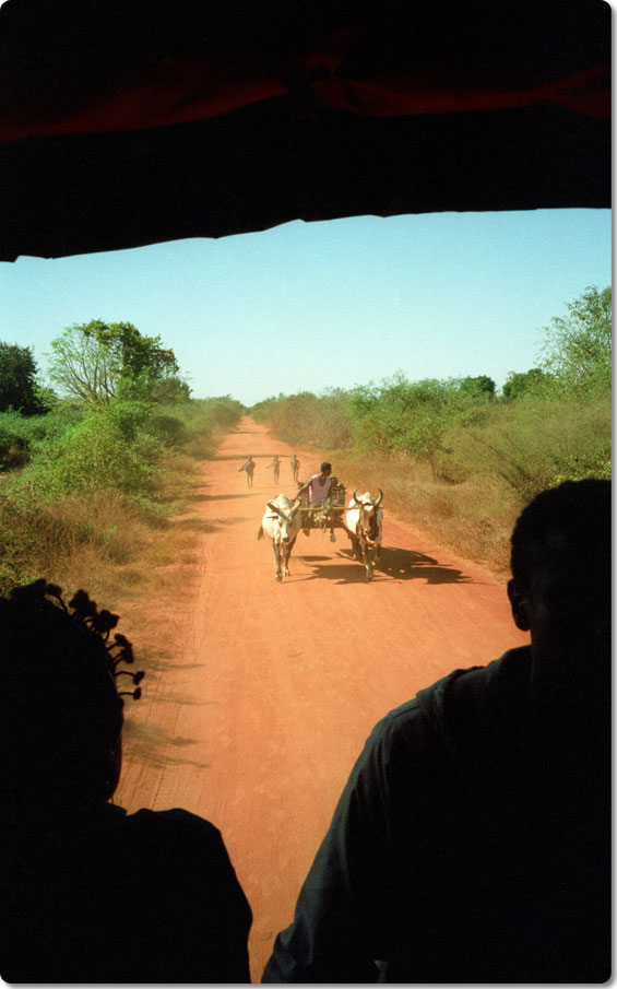 Typical Backcountry Village