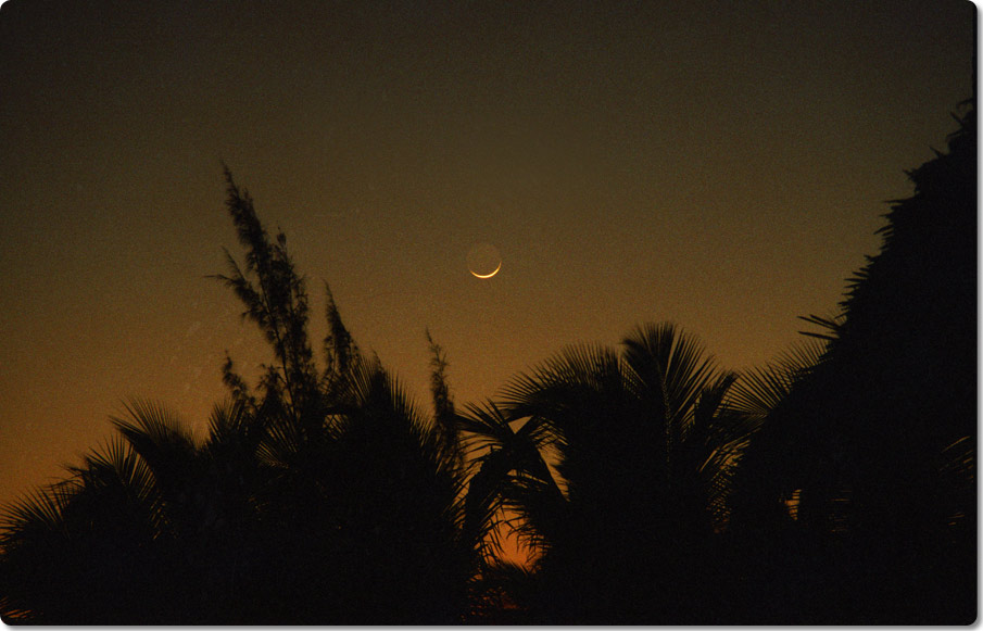 Morning Moonrise