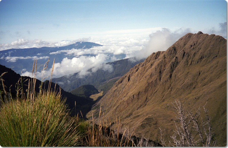 Descent From Mt. Wilhelm