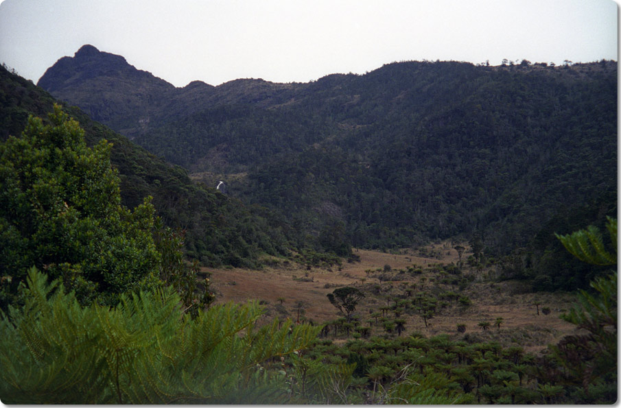 High Altitude Valley