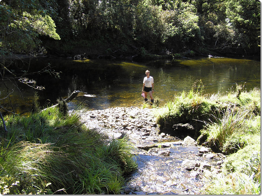 In The Seaforth River 