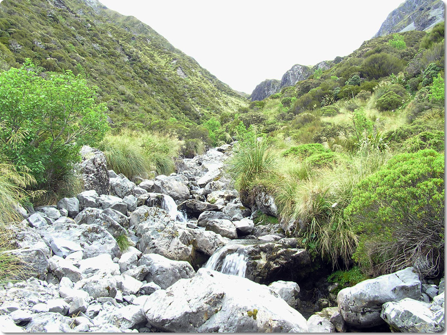 Speargrass And The Pass