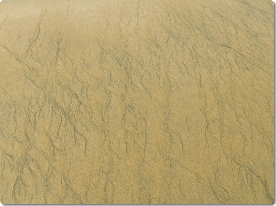 Sand Patterns