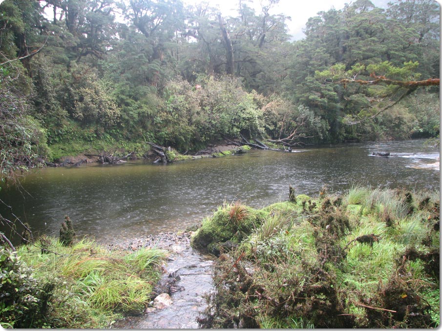 Seaforth River In The Rain