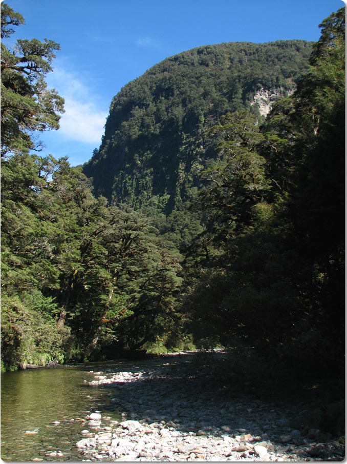 West Side of the Spey