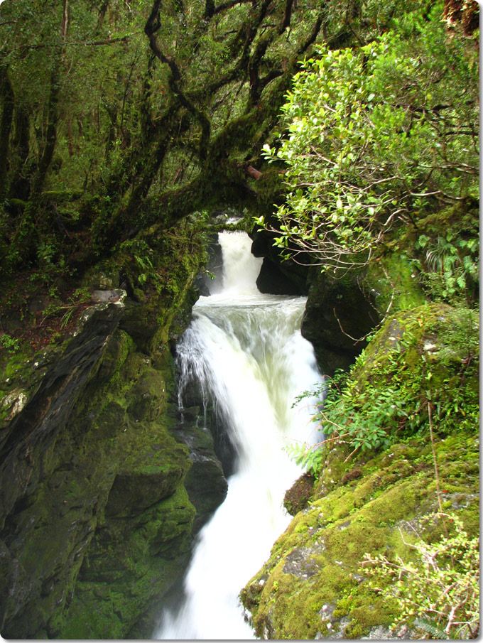 Wapiti Falls